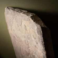 Load image into Gallery viewer, Aged Stone with Hand-Carved Latin Inscription