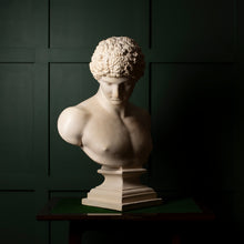 Load image into Gallery viewer, Plaster Bust of Antinous – Classical Style Decorative Sculpture