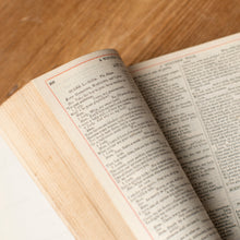 Load image into Gallery viewer, The Complete Works of Shakespeare | Victorian Illustrated Edition