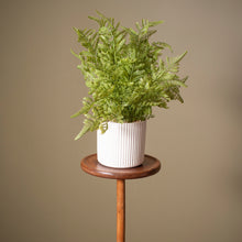 Load image into Gallery viewer, Victorian Plant Stand