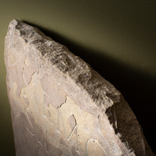 Load image into Gallery viewer, Aged Stone with Hand-Carved Latin Inscription
