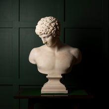 Load image into Gallery viewer, Plaster Bust of Antinous – Classical Style Decorative Sculpture

