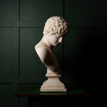 Load image into Gallery viewer, Plaster Bust of Antinous – Classical Style Decorative Sculpture

