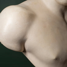 Load image into Gallery viewer, Plaster Bust of Antinous – Classical Style Decorative Sculpture
