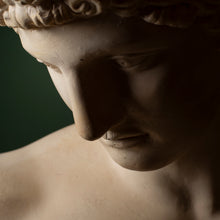 Load image into Gallery viewer, Plaster Bust of Antinous – Classical Style Decorative Sculpture
