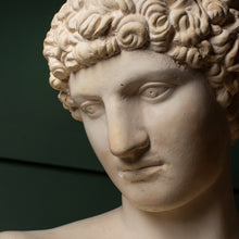 Load image into Gallery viewer, Plaster Bust of Antinous – Classical Style Decorative Sculpture
