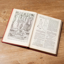 Load image into Gallery viewer, Mrs Beeton's Cookery Book | New &amp; Enlarged Edition | Ward Lock
