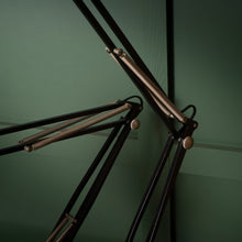 Load image into Gallery viewer, Pair of Black Naska Loris Lamps

