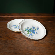Load image into Gallery viewer, Royal Albert 'Forget Me Not' Bone China Plates
